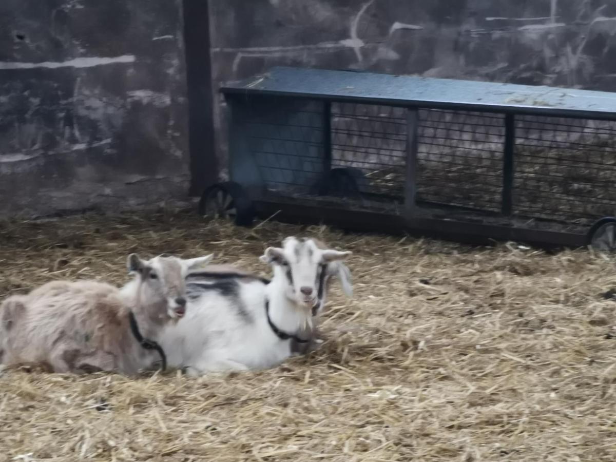 Rainors Farm Cottage Gosforth  외부 사진