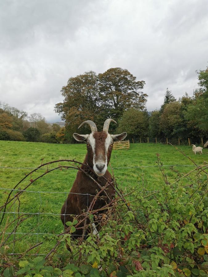 Rainors Farm Cottage Gosforth  외부 사진